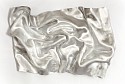 Paul Rousso, Silver Shadow (Sold)