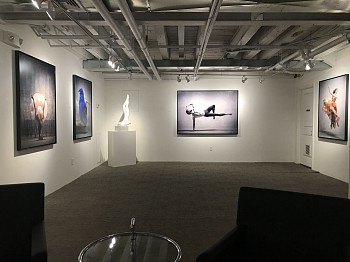 Ken Browar & Deborah Ory: NYC Dance Project 