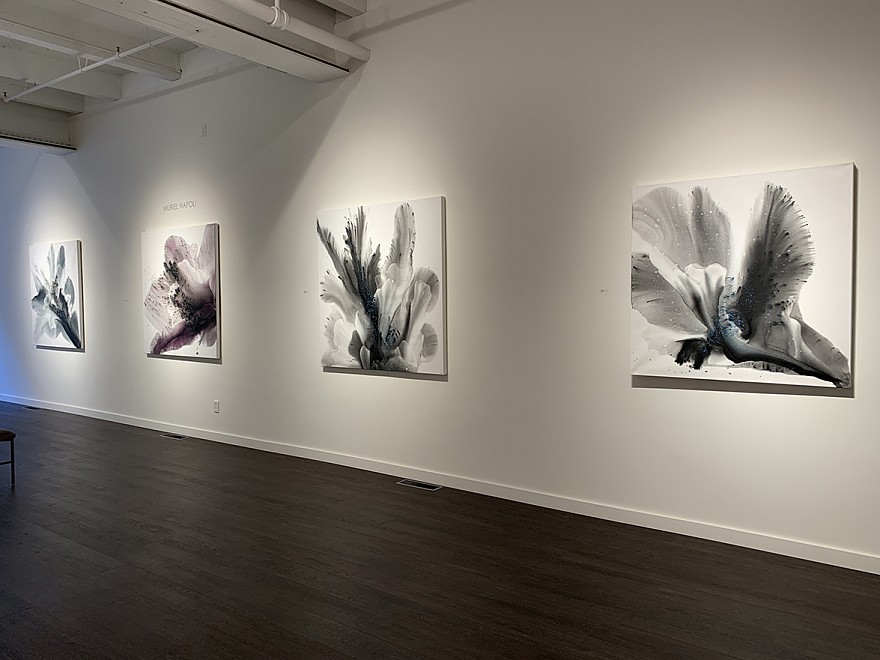 Muriel Napoli - Installation View