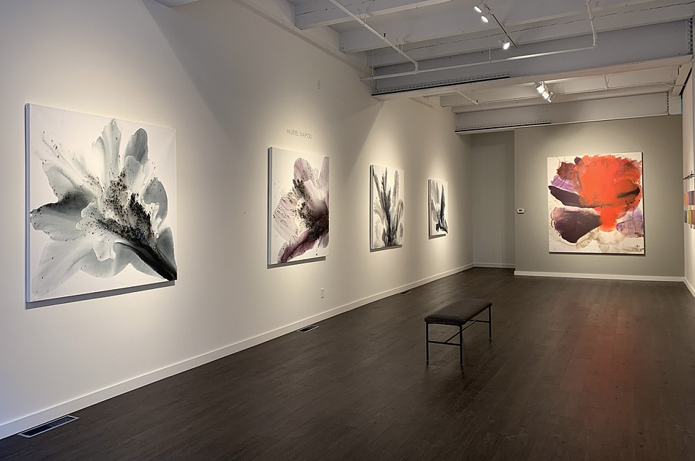 Muriel Napoli - Installation View