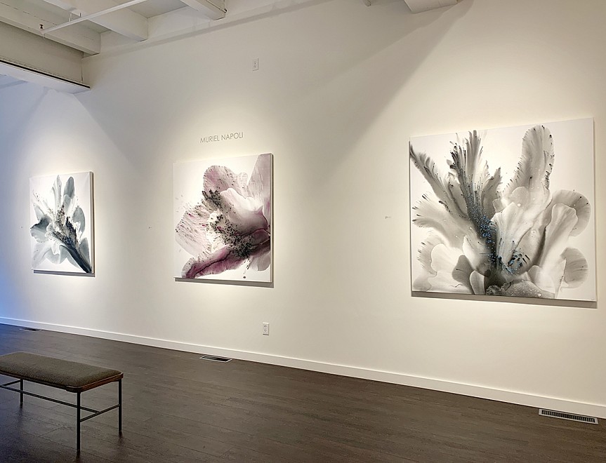 Muriel Napoli - Installation View