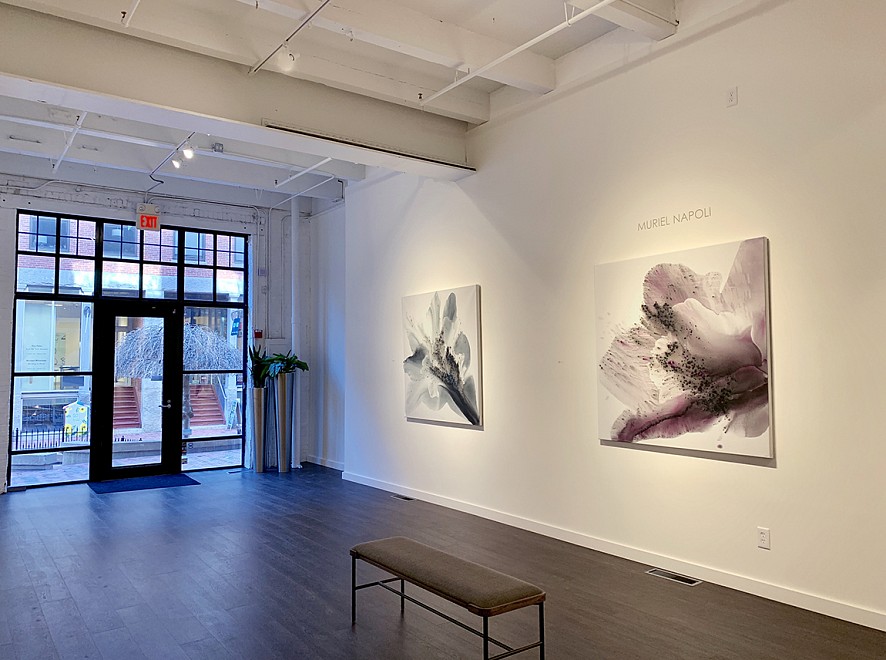 Muriel Napoli - Installation View