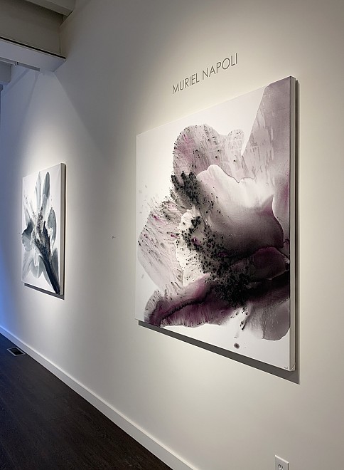 Muriel Napoli - Installation View