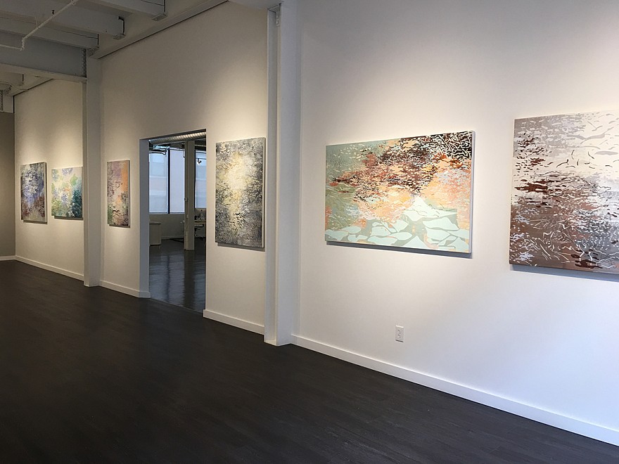 Laura Fayer - Installation View