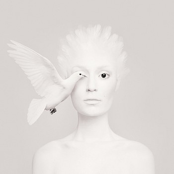 Flora Borsi -&nbsp;Animeyed, Dove 27 1/2 x 27 1/2 in.
