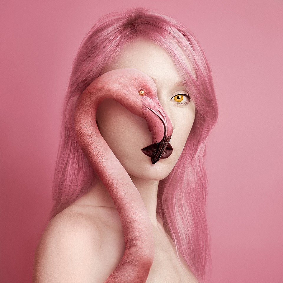 Flora Borsi, Animeyed, Flamingo
Archival pigment print on HahnemÃ¼hle paper, 27 1/2 x 27 1/2 in.