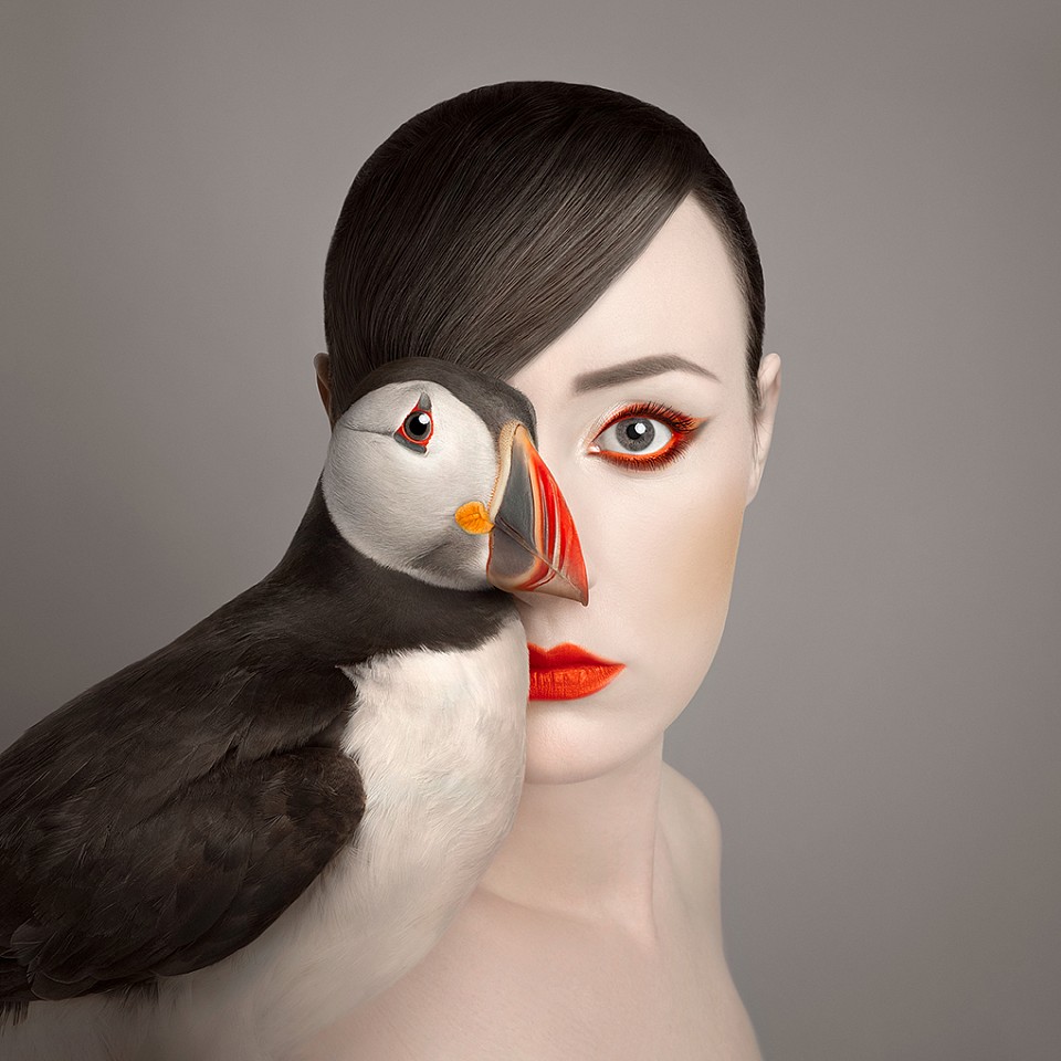 Flora Borsi, Animeyed, Little Puffin
Archival pigment print on HahnemÃ¼hle paper, 27 1/2 x 27 1/2 in.