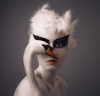 Flora Borsi -&nbsp;Animeyed, Swan 27 1/2 x 28 3/4 in.