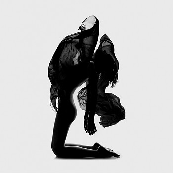 Flora Borsi -&nbsp;Des Monstres II available in 3 sizes