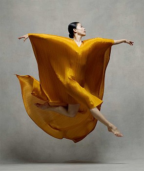 Ken Browar & Deborah Ory -&nbsp;Xin Ying (Issey Miyake 2) 35 x 30 in.