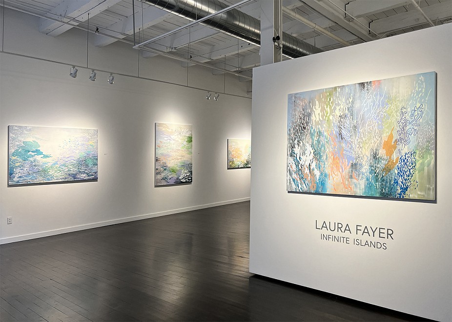 Laura Fayer Solo Exhibition - Installation View