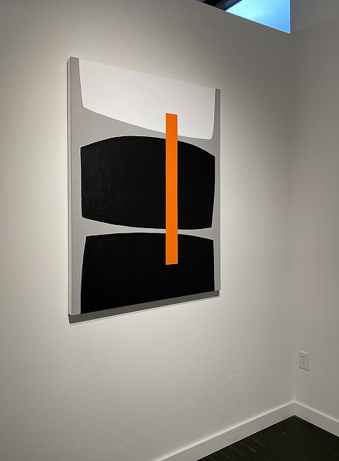 Tim Forbes - Installation View