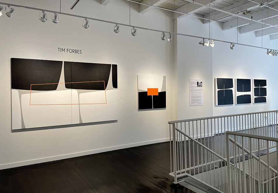 Tim Forbes - Installation View