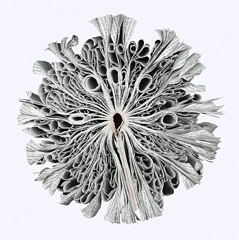 Cara Barer -&nbsp;History Sizes vary