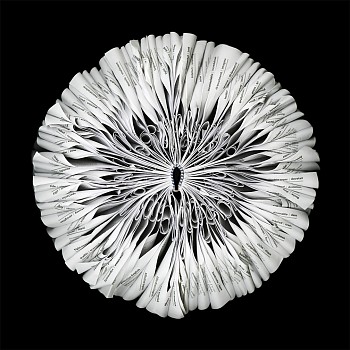 Cara Barer -&nbsp;Oxford Sizes vary