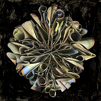 Cara Barer -&nbsp;Skeleton Coast Sizes vary