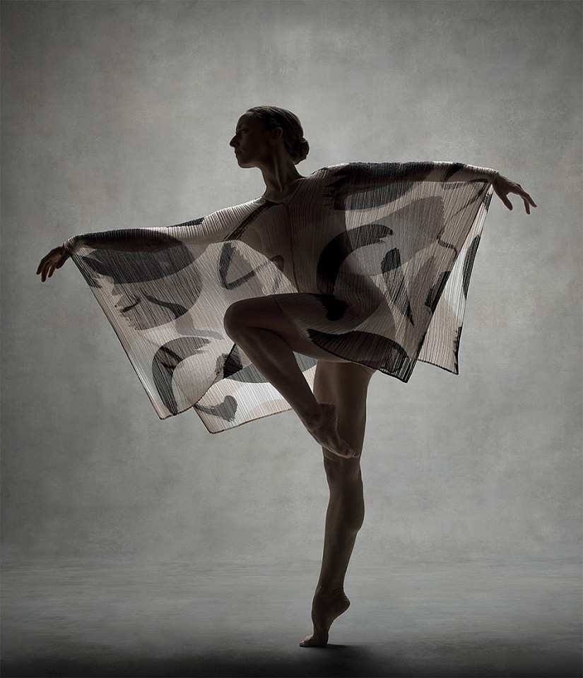 Ken Browar & Deborah Ory, Anne Souder (Issey Miyake)
Dye sublimation print on aluminum, 35 x 30 in.