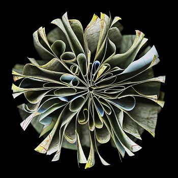 Work:&nbsp;Cara Barer Paris Sizes vary